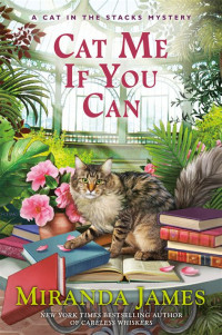Image of Cat me if you can